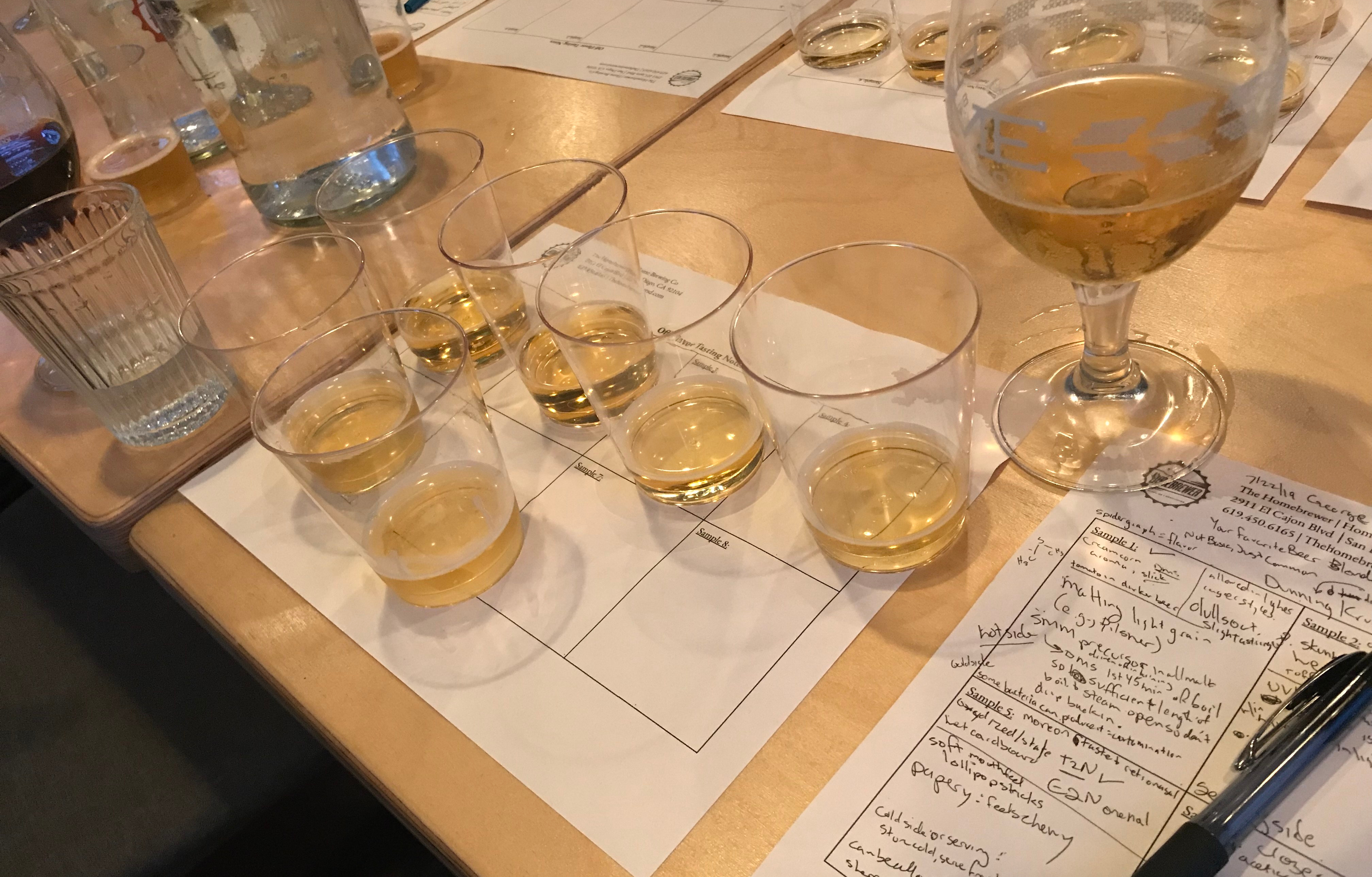 The Homebrewer/Home Brewing Co Off-Flavor Training