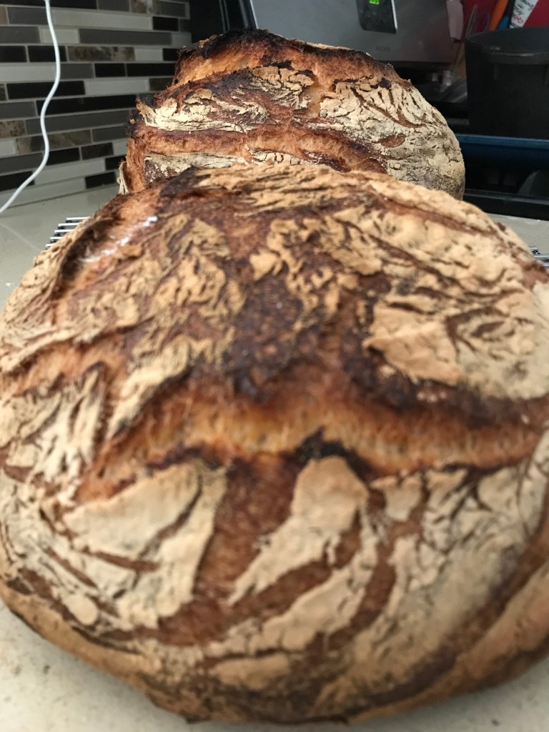 Dozens of loaves consumed with gusto